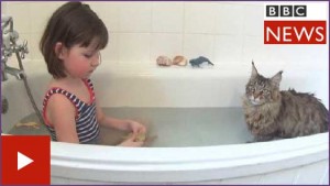 bbc-news-cat-autism
